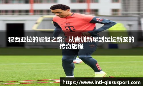 球速体育官方入口